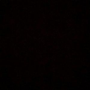 Meet your Posher, Sammi